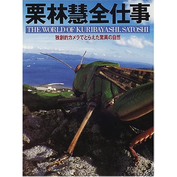超希少　美品　絶版　頼朝とその弟たち 栗林 浩 新人物往来社 栗林藍希 (@____aino) / Posts / X