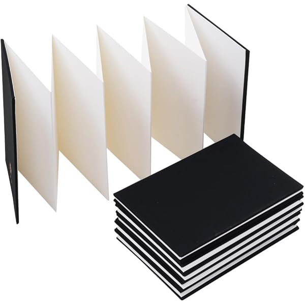 Amazon.co.jp: Moleskine Art Plus Japanese Album, Large, Black