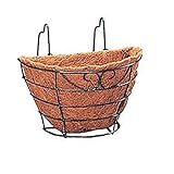 アイリスオーヤマ ハンギング パームワイヤーバスケット 深型 フックタイプ PED-300F グリーン