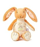 Guess How Much I Love You Nutbrown Hare Bean Bag Plush [並行輸入品]