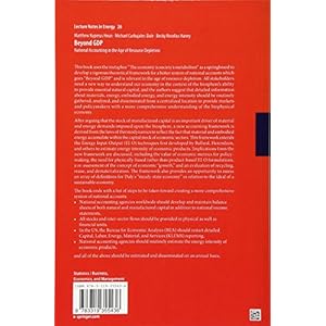 Beyond GDP: National Accounting in the Age of Resource Depletion (Lecture Notes in Energy)