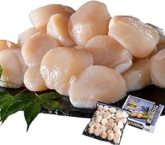 ホタテ 北海道 野付産 500g 特大 (Mサイズ) ほたて貝柱 帆立 冷凍 訳あり 刺身 北海道 別海町