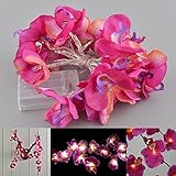 Kicode 文字列ライト 2M / 6.56フィート20LEDバッテリ駆動胡蝶蘭シンビジウムの花の花の妖精ライト バレンタイン、結婚式、ベッドルーム、室内装飾用
