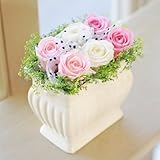 みずみずしい生花の風合を保つ花 エーデルワイス 【セレモニー2 ピンクミックス】 プリザーブドフラワー 枯れないお花