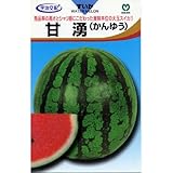 スイカ 種 【 甘湧 (かんゆう) 】 種子 小袋（約１０粒）