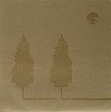 We Were Enchanted [Analog]