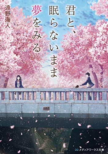 遠野海人:君と、眠らないまま夢をみる (メディアワークス文庫)