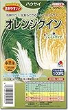 ハクサイ種子 オレンジクイン ペレット種子100粒 白菜