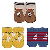 西松屋 [EFD] 3足組ベビーローカットソックス(くま) 【9-14cm】