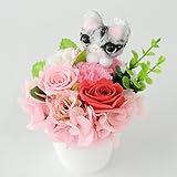 フラワーマーケット花由 プリザーブドフラワー スイートキャットポット GD-784 ピンク