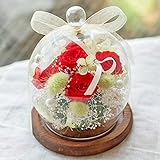 プリザーブドフラワー ガラスドーム ギフト Lサイズ （ビビアンレッド） ガラスの森～ローズシュシュ～