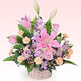 お祝い　花キューピット ピンクユリのアレンジメント