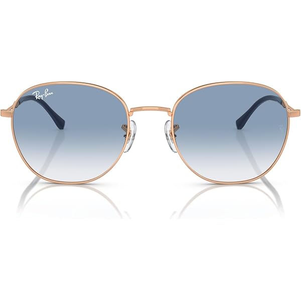 【美品】 RayBan レイバン サングラス レイバン公式ストア】 Ray-Ban® RB3809 サングラス | ローズ
