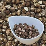 とっかん小豆 （あずき） 業務用 500g 　フリーズドライ　【おやつにぴったり！】