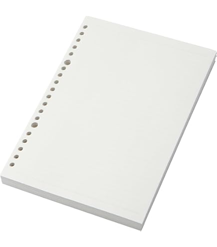 Amazon.co.jp: マルマン(Maruman) A5 ルーズリーフ クロッキーリーフ