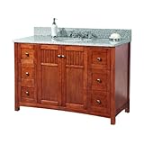 Foremost kncarg4922d Knoxville 49 " W x 22 " D Vanity in Nutmeg with Granite Top in Rushmoreグレー