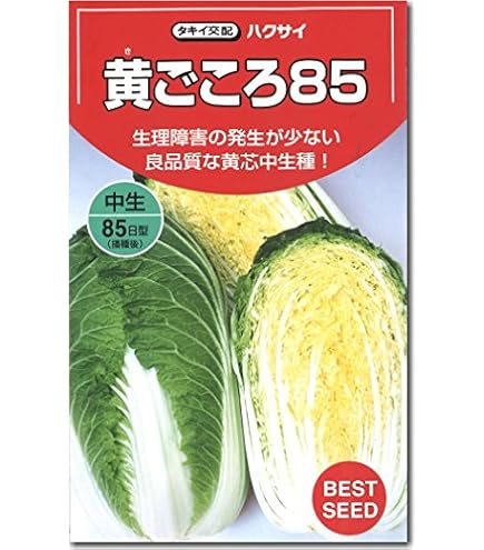 白菜 楽天市場】白菜 種 ハクサイ 富風 サカタ の タネ 家庭菜園 プロ