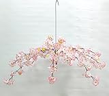 センターしだれ桜