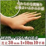 Liebe【リーベ】 人工芝 芝丈30mm 1m×10m 10平米 『パークシア・エコノミー』