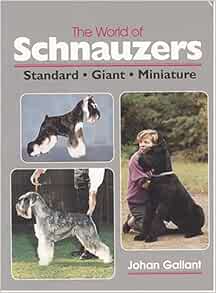 lisa's miniature schnauzers