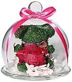 TEATSIGHT(ティートサイト) プリザーブドフラワー 枯れないお花 クリスタル付きガラスドーム カーネーション1輪（ピンク） アニマルモス（クマ） スワロフスキー社製クリスタル1粒 クリアケース