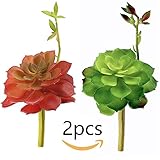 Supla 2 pcs人工多肉植物Echeveria多肉植物ソフトプラスチックAeonium SucculentブルゴーニュでPicksグリーン6.3 "高