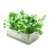 ミニ水耕菜園キットBO ベビーオーク