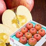青森県産 ご家庭用 りんご サンふじ 3kg (準秀品/9玉～14玉入り/常温品) 旬 リンゴ 林檎 ふじ さんふじ 山形 産地直送 果物 フルーツ お取り寄せ