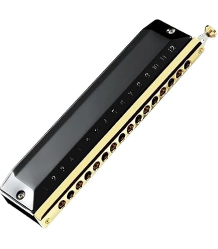 Amazon.co.jp: クロマチックハーモニカ 16穴 64音 C調ハーモニカ プロ