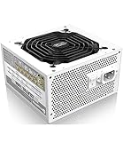 RAIJINTEK CRATOS 1000 WHITE 電源ユニット ATX3.0/3.1対応 80PLUS Gold 認証 1000W Full Modular (0R30B00006)