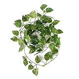 amzmonnsuta 2m人工アイビー ?つる植物 緑の葉 ガーランド ホーム ガーデンホリデイの装飾