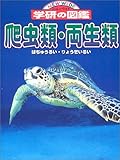 爬虫類・両生類 (ニューワイド学研の図鑑シリーズ)