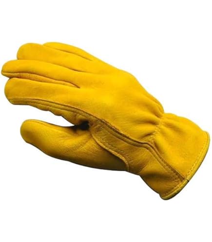 Amazon | NAPA ナパ 鹿革 ディアスキン プレーン レザーグローブ