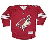 ユースArizona Coyotes Hockey Jersey /セーター レッド