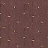 Brewster 418-60019 Jefferson Red Wooden Panel With Stars Wallpaper, Red [並行輸入品]