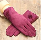 JJdo レディース暖かく手袋　防水ピリングがない　ハンドウォーマー 指先スマートフォン対応　シンプルなデザイン刺繍　紫　ピンク　黒い　ブラウン (赤い-ボール)