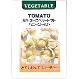 葉菜類 種 食用ほおずき ストロベリートマト ハニーゴールド 小袋