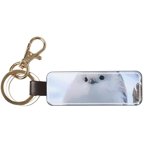 Amazon.co.jp: [zhandiffy] 鰤 ブリ 魚 キーホルダー キーリング