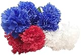 レッド、ホワイト、ブルーFloral Garden Patriotic花Bushes、16.25 in。