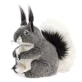 Folkmanis Abert's Squirrel Hand Puppet [並行輸入品]