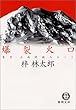 爆裂火口―東京・上高地殺人ルート (徳間文庫)
