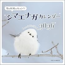 シマエナガ Amazon.co.jp: もふっとシマエナガ カレンダー2026 ([カレンダー