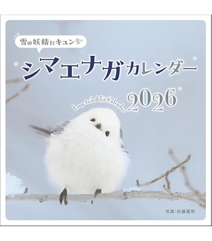Amazon | ぼく、シマエナガ。 2026 卓上カレンダー リングタイプ