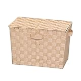 アイリスオーヤマ カラーバスケット フタ付 (ベージュ) IRIS CBK-38DT(ベ-ジユ) 返品種別A