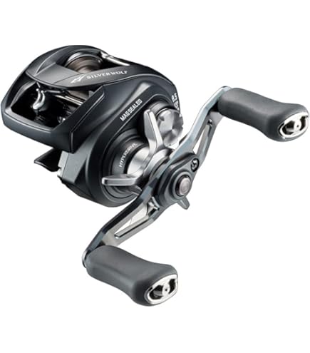 Amazon | ダイワ(DAIWA) チニングロッド SILVER WOLF(シルバー