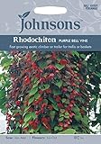 JOFL 英国ジョンソンシード Rhodochiton Purple Blue Vine ロドキトン・パープル・ブルー・ヴェイン