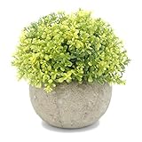 velener Miniプラスチック人工松ボールトピアリーPlant Pots for Home Decor (緑クローバー)