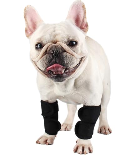 Amazon | コンビ コムペット ペット用サポーター 小型犬用 ホロノア