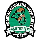11 x 13 Coastal Carolina Chanticleers木製Street Sign