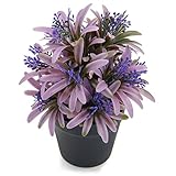 TOSSOW小型 プラスチック人工植物 おしゃれ　可愛い　人工植物 インテリア 人工植物 オフィスや家の装飾 家族や友達のプレゼントクリスマス新年の贈り物